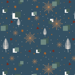 A Winter Night in Slate