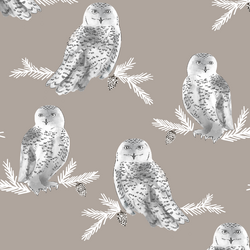 Snowy Owl in Taupe