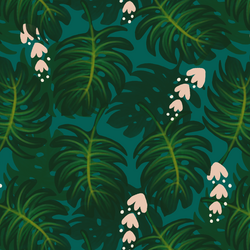 Large Monstera Leaves in Lush