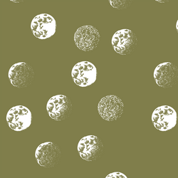 Moondance in Jungle