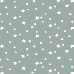 Star Light in Eucalyptus