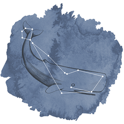 Cetus Panel in Midnight