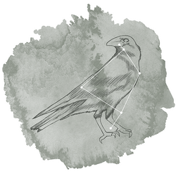 Corvus Panel in Sage