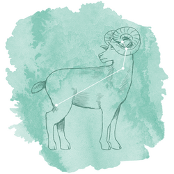 Aries Panel in Succulent