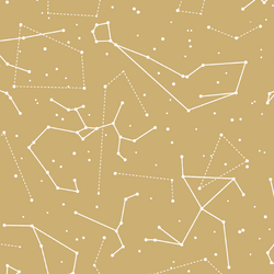 Star Charts in Golden Canyon