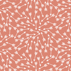 Arrows in Desert Rose
