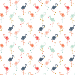 Small Flamingos in Summer