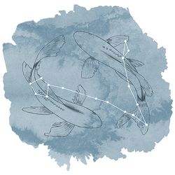 Pisces Panel in Marine