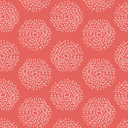 Wanderer in Salmon