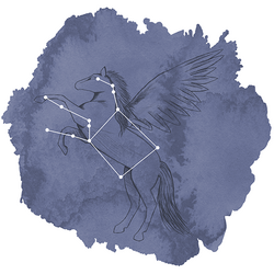 Pegasus Panel in Indigo