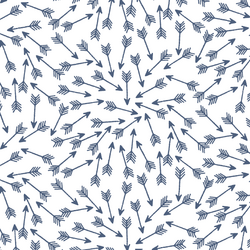 Arrows in Midnight on White