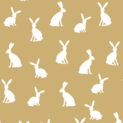 Cottontail Silhouette in Golden Canyon