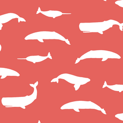 Whale Silhouette in Salmon