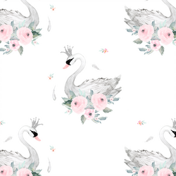 Blush Swans in Elegant