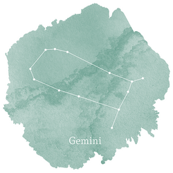 Gemini Sign Panel in Aspen