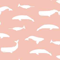 Whale Silhouette in Petal