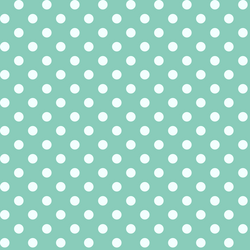 Candy Dot in Succulent