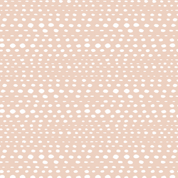Little Skipping Stones in Shell
