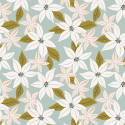 Poinsettia in Multi