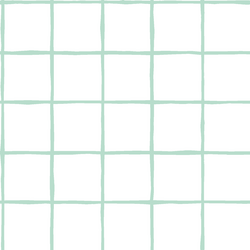 Windowpane in Mint on White