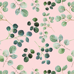 Eucalyptus Leaf in Soft Petal
