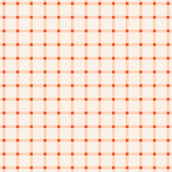 Sunshine Gingham in Cherry Blush