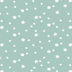 Star Light in Aspen