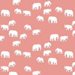 Elephant Silhouette in Tulip