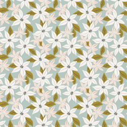 Small Poinsettia in Multi