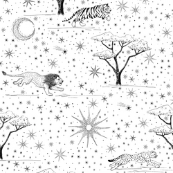 Celestial Safari in Night