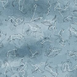 Constellations in Marine