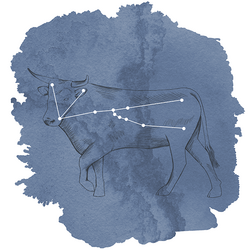Taurus Panel in Midnight
