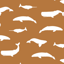Whale Silhouette in Ginger