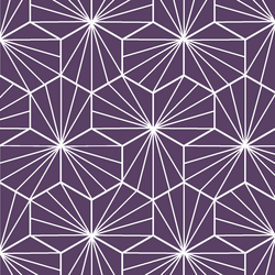 Radiate in Aubergine