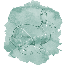 Lepus Panel in Aspen