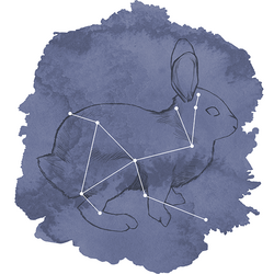 Lepus Panel in Indigo