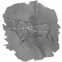 Taurus Panel in Charcoal