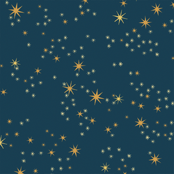 Starry Night in Deep Ocean