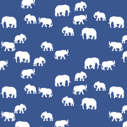 Elephant Silhouette in Blue Jay