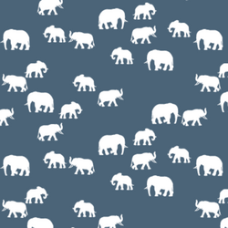Elephant Silhouette in Twilight