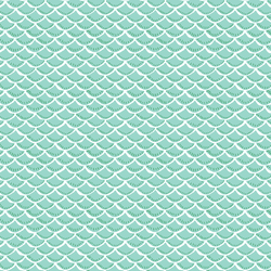 Scallop in Splash