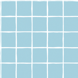 Windowpane in Robins Egg