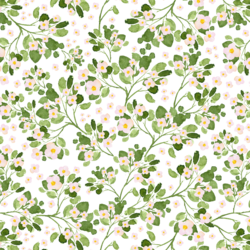 Little Strawberry Flowers in White