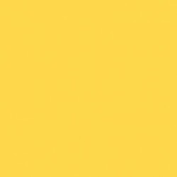 Solid in Dark Yellow