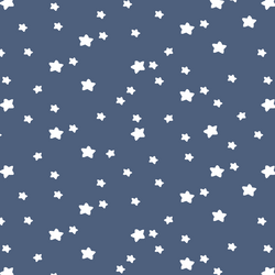 Star Light in Midnight
