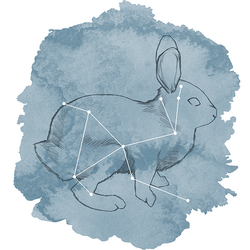 Lepus Panel in Marine