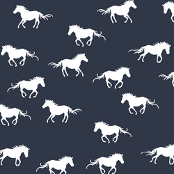 Horse Silhouette in Eclipse