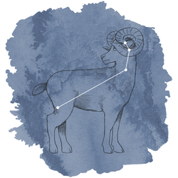 Aries Panel in Midnight