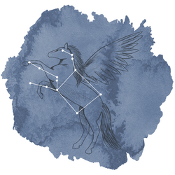 Pegasus Panel in Midnight