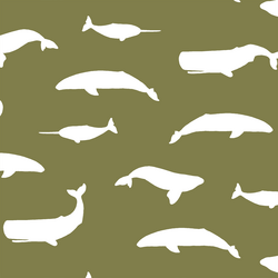 Whale Silhouette in Jungle
